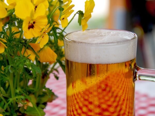 10 Oktoberfest Tipps, unter 100 Euro — der große Check